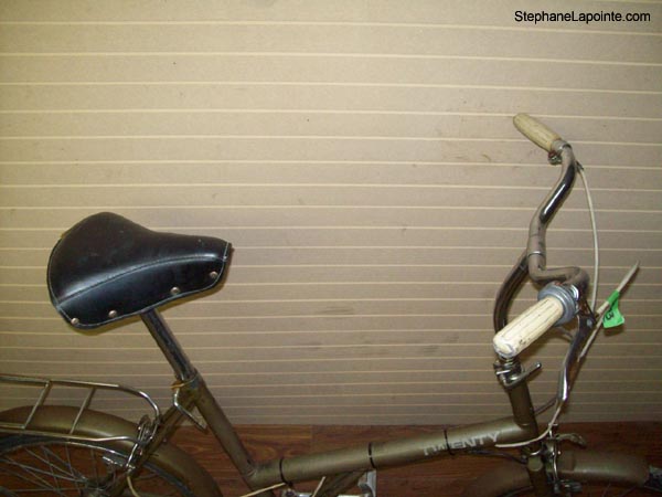 Vélo Raleigh Twenty - StephaneLapointe.com