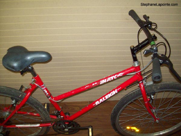 Vélo Raleigh Eliminator - StephaneLapointe.com
