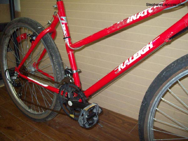 Vélo Raleigh Eliminator - StephaneLapointe.com