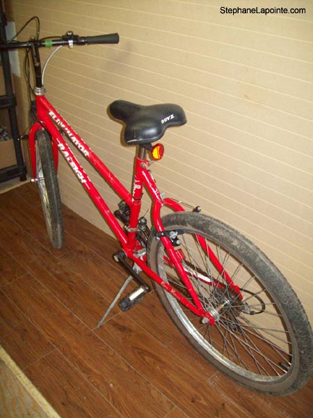 Vélo Raleigh Eliminator - StephaneLapointe.com