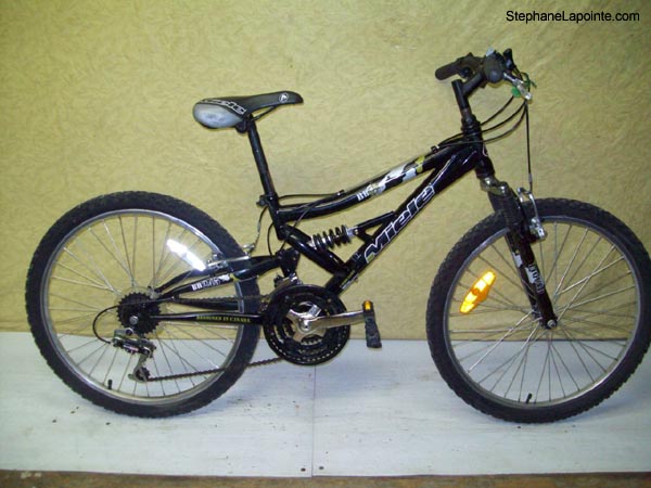 Vélo Miele BB245 - StephaneLapointe.com