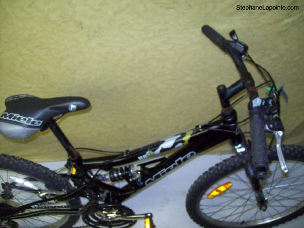 Vélo Miele BB245 - StephaneLapointe.com