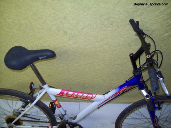 Vélo Leader Adventure - StephaneLapointe.com