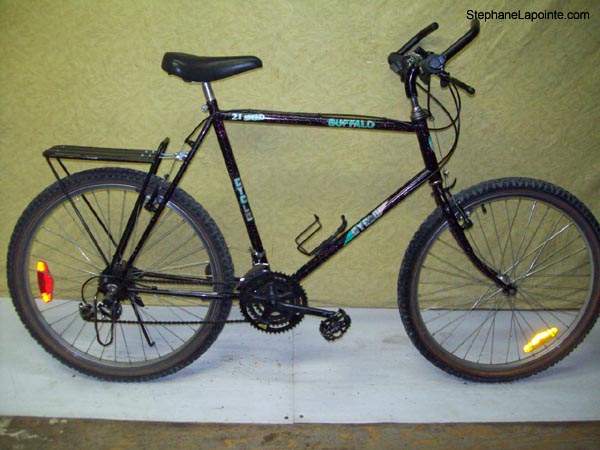 Vélo Cyclo Buffalo - StephaneLapointe.com