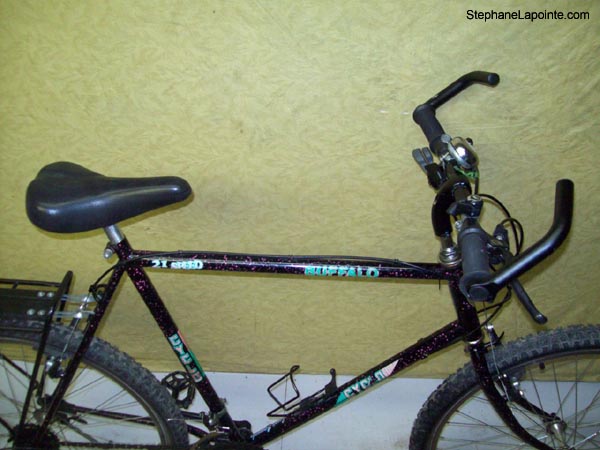 Vélo Cyclo Buffalo - StephaneLapointe.com