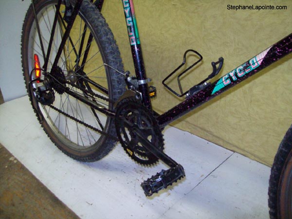 Vélo Cyclo Buffalo - StephaneLapointe.com