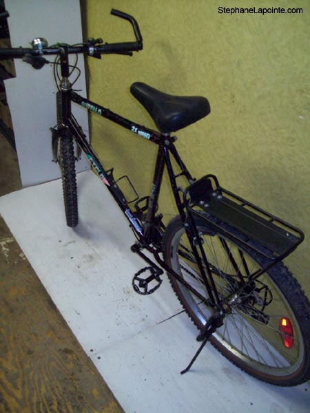 Vélo Cyclo Buffalo - StephaneLapointe.com
