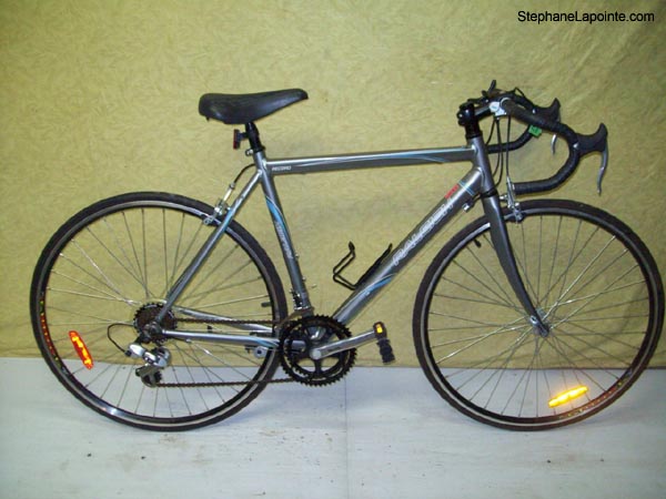 Vélo Raleigh Record - StephaneLapointe.com
