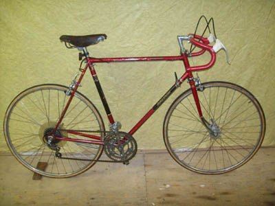 Vélo Raleigh Grand Prix - StephaneLapointe.com