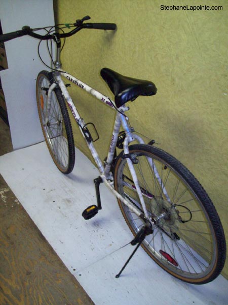 Vélo Cyclo Caravane - StephaneLapointe.com