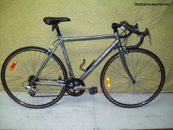 Vélo Raleigh Record - StephaneLapointe.com