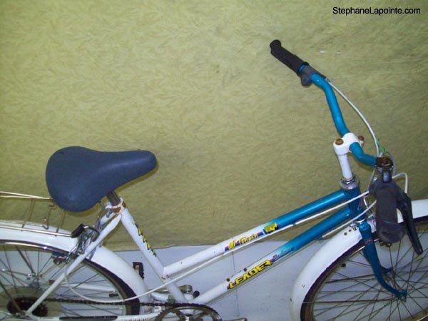 Vélo Leader LE 6001 - StephaneLapointe.com