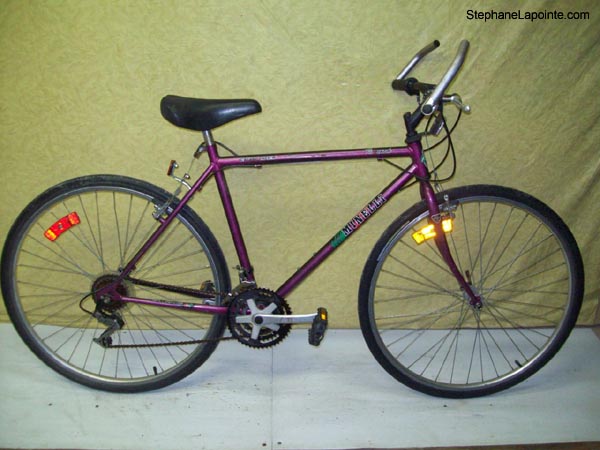 Vélo Minelli Promenade - StephaneLapointe.com