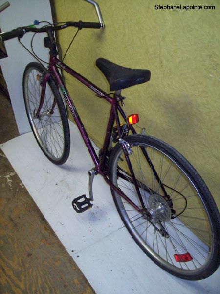 Vélo Minelli Promenade - StephaneLapointe.com