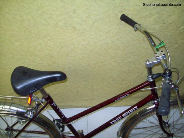 Vélo Free Spirit FS400 - StephaneLapointe.com