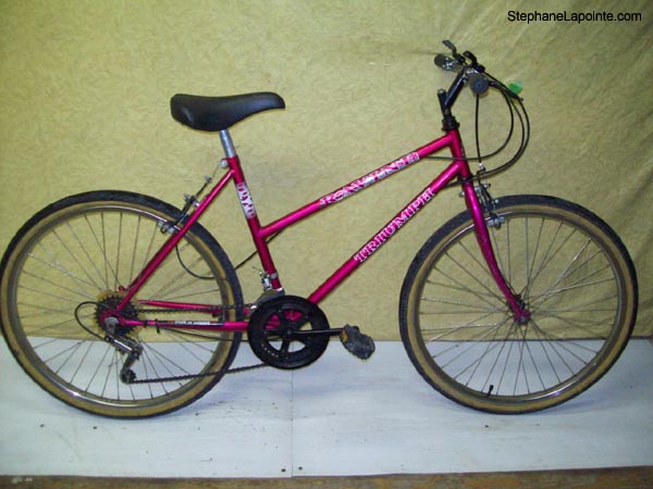 Vélo Triumph Ravine - StephaneLapointe.com