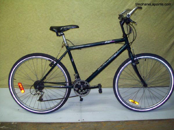 Vélo AVP Malamut - StephaneLapointe.com