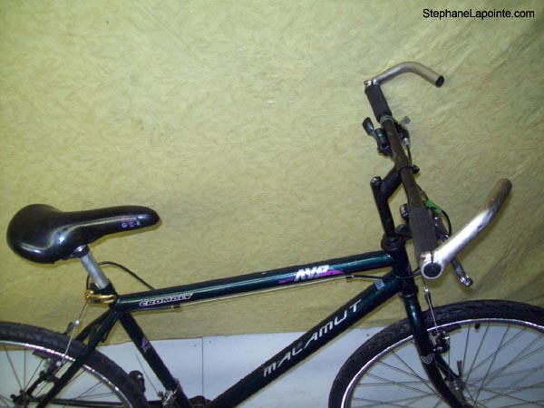 Vélo AVP Malamut - StephaneLapointe.com