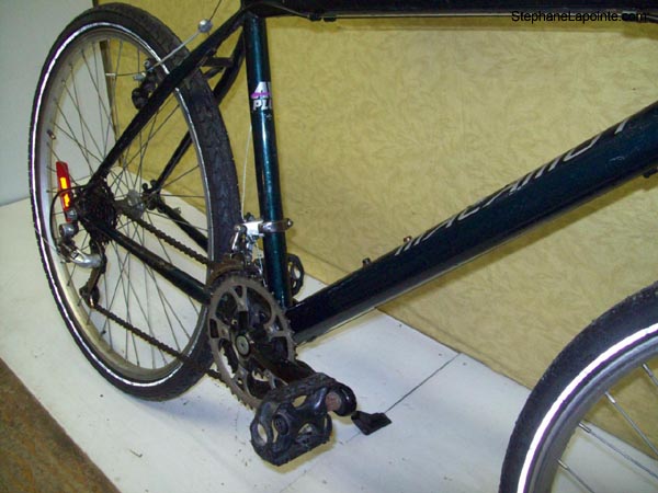 Vélo AVP Malamut - StephaneLapointe.com