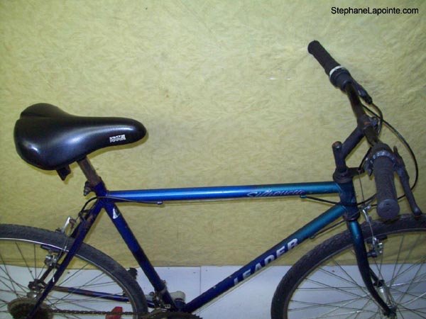 Vélo Leader Silhouette - StephaneLapointe.com