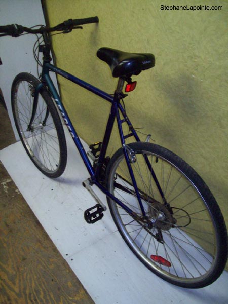 Vélo Leader Silhouette - StephaneLapointe.com