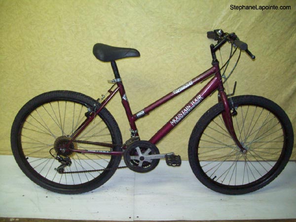 Vélo Mountain Tour Platinum DX - StephaneLapointe.com