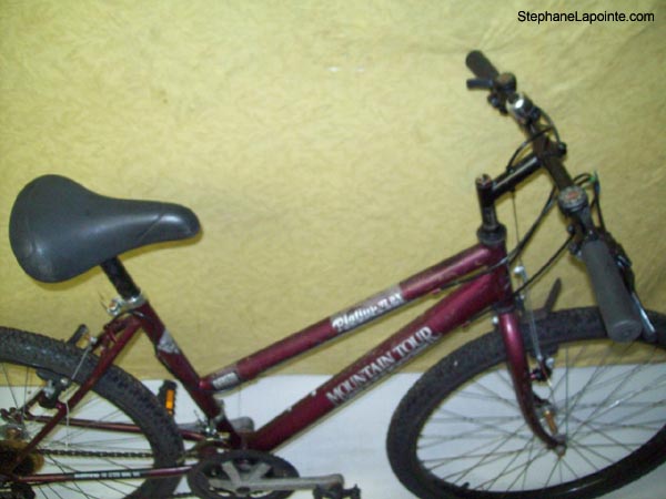 Vélo Mountain Tour Platinum DX - StephaneLapointe.com