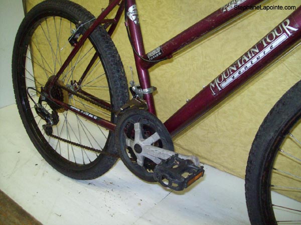Vélo Mountain Tour Platinum DX - StephaneLapointe.com