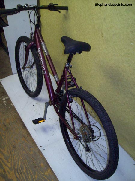 Vélo Mountain Tour Platinum DX - StephaneLapointe.com