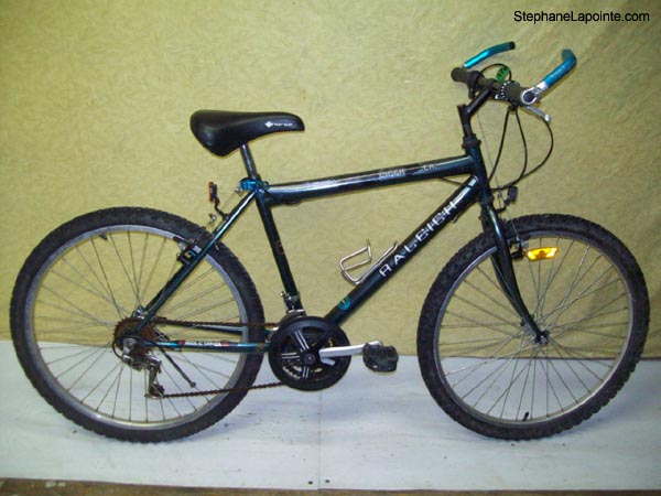 Vélo Raleigh Cliffhanger - StephaneLapointe.com