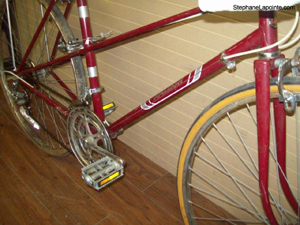 Vélo Raleigh Royale - StephaneLapointe.com