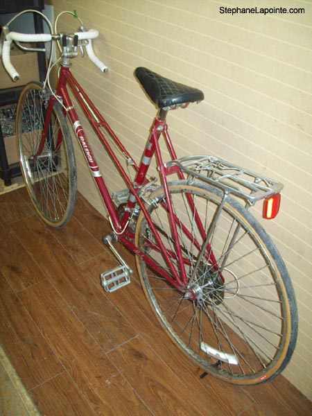 Vélo Raleigh Royale - StephaneLapointe.com