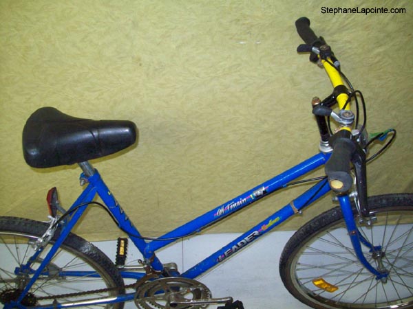 Vélo Leader LE 6041 - StephaneLapointe.com