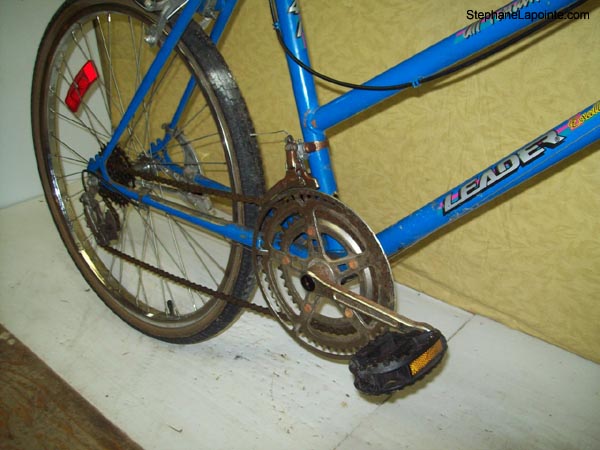 Vélo Leader LE 6041 - StephaneLapointe.com