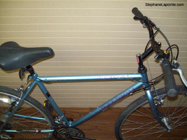 Vélo Raleigh Sports - StephaneLapointe.com
