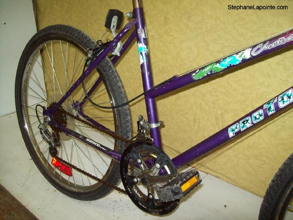 Vélo Pro Tour Cheetah 12 - StephaneLapointe.com