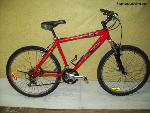 Vélo Miele BB 263 - StephaneLapointe.com