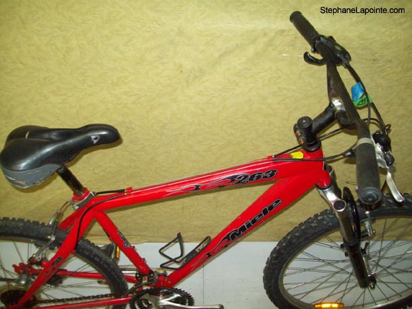 Vélo Miele BB 263 - StephaneLapointe.com