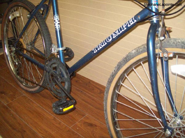 Vélo Triumph Ravine - StephaneLapointe.com