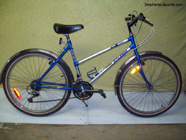 Vélo Raleigh Big Horn - StephaneLapointe.com