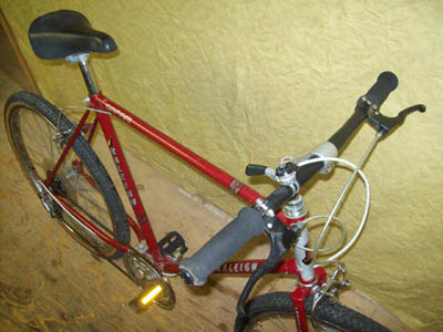 Vélo Raleigh Safari - StephaneLapointe.com