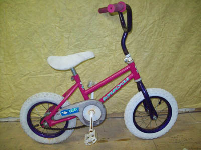 Vélo Supercycle Trex - StephaneLapointe.com