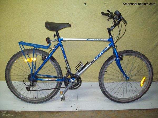 Vélo Raleigh Royale - StephaneLapointe.com