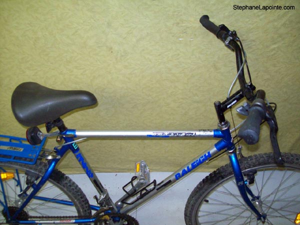 Vélo Raleigh Royale - StephaneLapointe.com