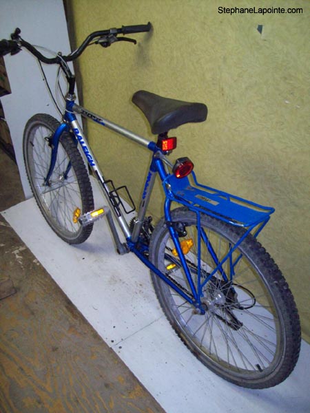 Vélo Raleigh Royale - StephaneLapointe.com
