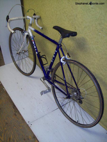 Vélo Miele Binova - StephaneLapointe.com