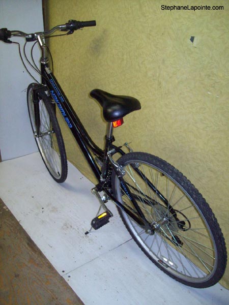Vélo Nakamura Sensation 200 - StephaneLapointe.com