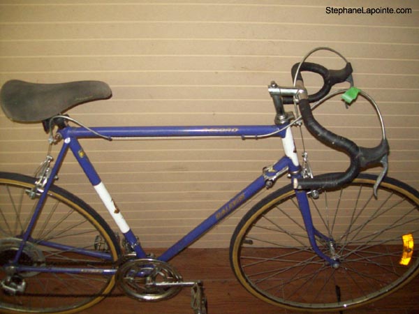 Vélo Raleigh Record - StephaneLapointe.com