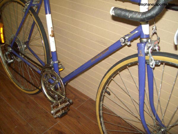 Vélo Raleigh Record - StephaneLapointe.com
