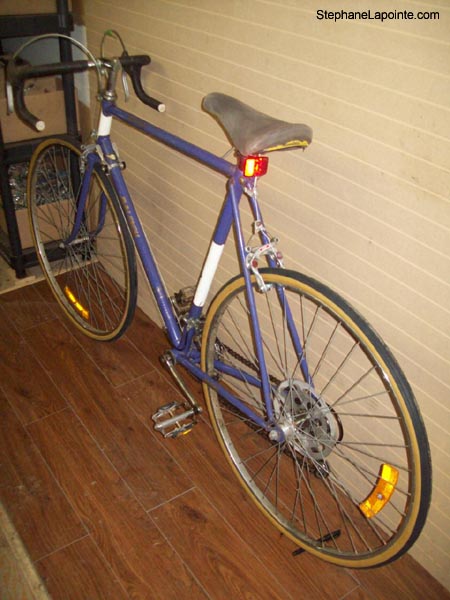 Vélo Raleigh Record - StephaneLapointe.com